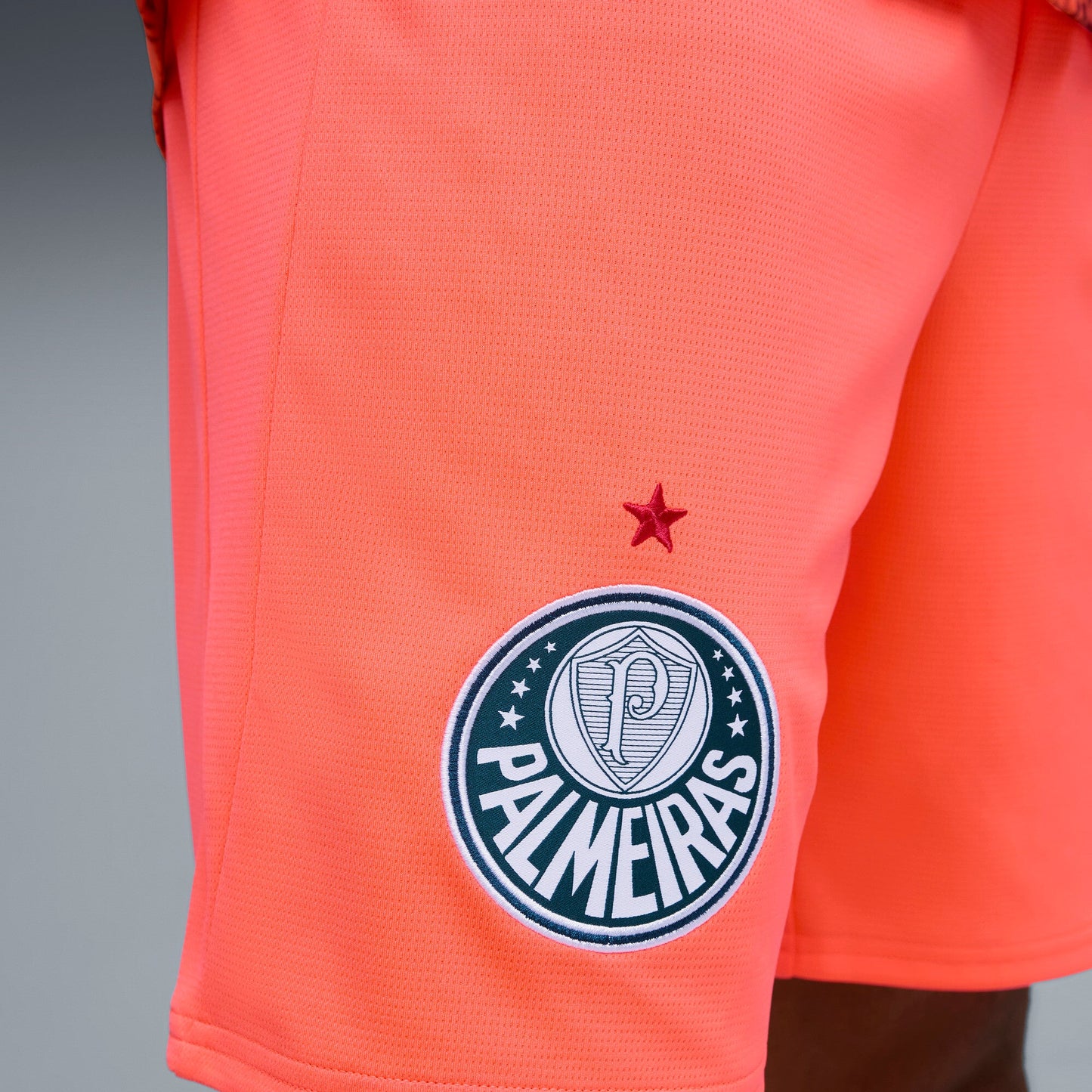 SE Palmeiras SHORTS REPLICA[Glowing Red/Dark Crimson]